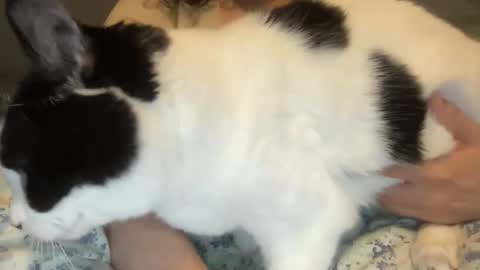 Kate online show from 1, 3, 2026