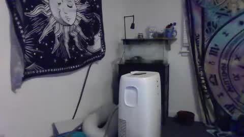 Snapshot of lovefun11334 chatting on 4, 12, 2024 Bigtitsgirl113 online show from 4, 12, 2024