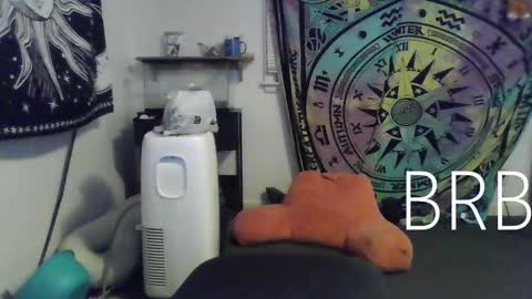 Snapshot of lovefun11334 chatting on 18, 1, 2025 Bigtitsgirl113 online show from 18, 1, 2025