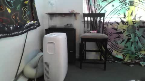 Snapshot of lovefun11334 chatting on 4, 3, 2025 Bigtitsgirl113 online show from 4, 3, 2025