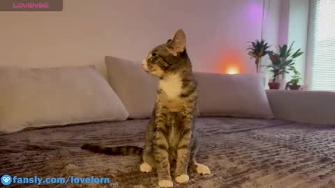 Snapshot of lovelorn_ chatting on 22, 10, 2025 Elsa online show from 22, 10, 2025