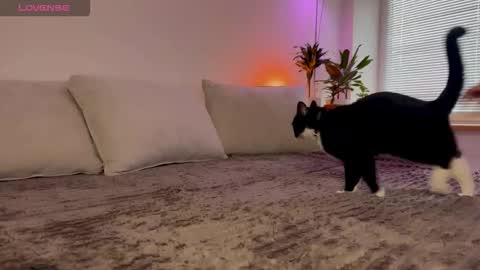 Snapshot of lovelorn_ chatting on 23, 10, 2025 Elsa online show from 23, 10, 2025