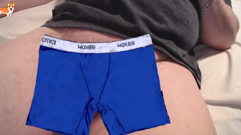  OLI online show from 19, 3, 2026