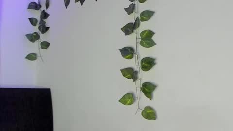 Snapshot of luaar_moon chatting on 4, 2, 2026 Jenn online show from 4, 2, 2026