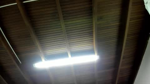 luca_morettii online show from 5, 11, 2025