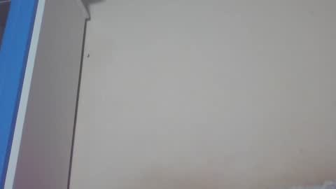 luciana gr online show from 31, 12, 2024