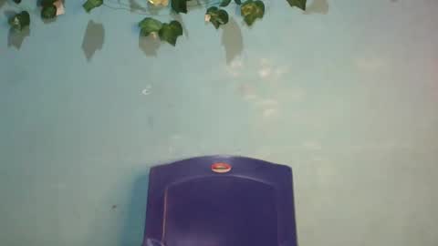 Snapshot of luckymadequeen chatting on 17, 11, 2025 Gloria online show from 17, 11, 2025