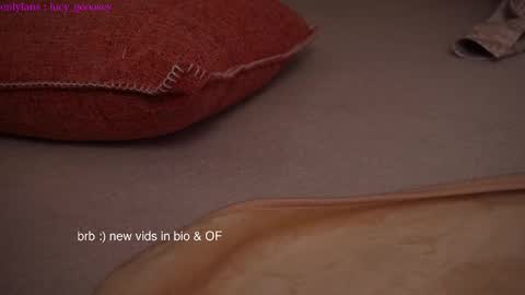 Snapshot of lucy_gooosey chatting on 28, 1, 2025 Lucy. online show from 28, 1, 2025