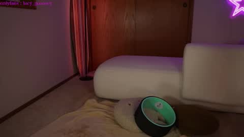 Snapshot of lucy_gooosey chatting on 3, 2, 2025 Lucy. online show from 3, 2, 2025