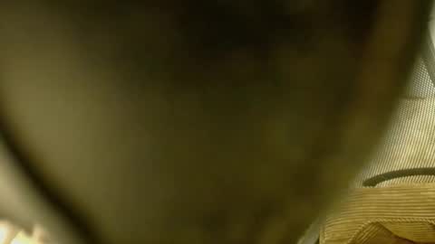    MONA    online show from 6, 1, 2026