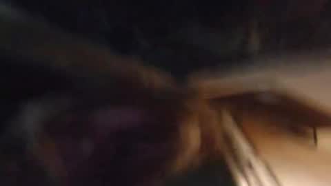 Snapshot of lucyvybes_and_gogert chatting on 4, 3, 2025 Lucy Vybes and Go-Gert online show from 4, 3, 2025