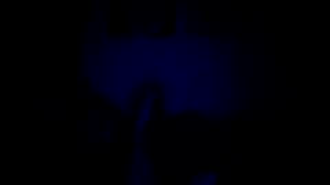 luffray online show from 9, 2, 2026