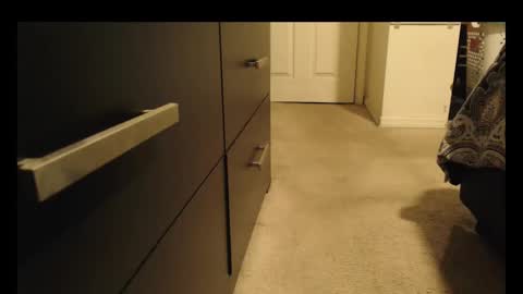 LUGO online show from 8, 10, 2025