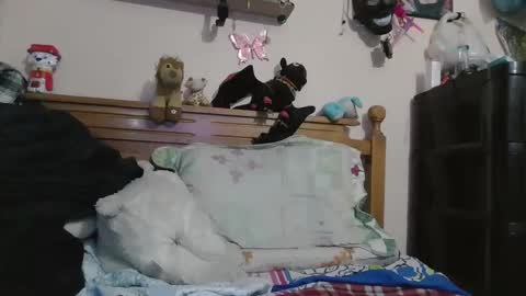 Snapshot of luismiastarot chatting on 28, 10, 2025 luismiastarot online show from 28, 10, 2025