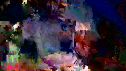 Lu online show from 2, 4, 2026