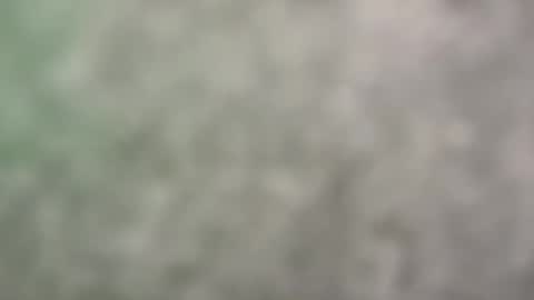 Harrison online show from 17, 5, 2026