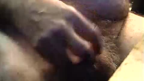 Snapshot of lukestarfckr chatting on 11, 9, 2025 lukestarfckr online show from 11, 9, 2025