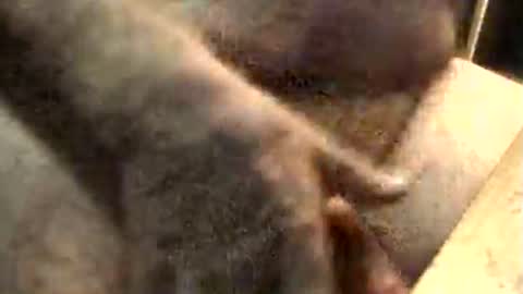 Snapshot of lukestarfckr chatting on 10, 11, 2025 lukestarfckr online show from 10, 11, 2025