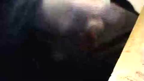 lukestarfckr online show from 1, 3, 2026