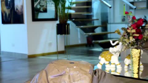 Lukhas f4f online show from 1, 2, 2025