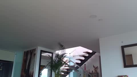 Lukhas f4f online show from 12, 2, 2025