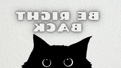 elizabeth online show from 6, 3, 2026