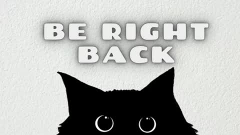 elizabeth online show from 14, 4, 2026