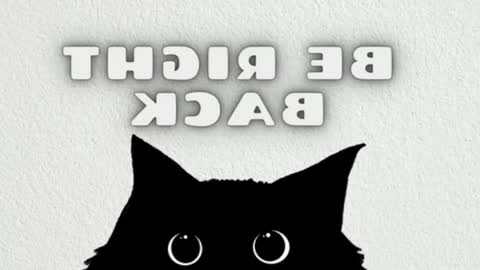 elizabeth online show from 31, 5, 2026