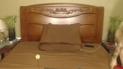 lulu_wild online show from 10, 4, 2026