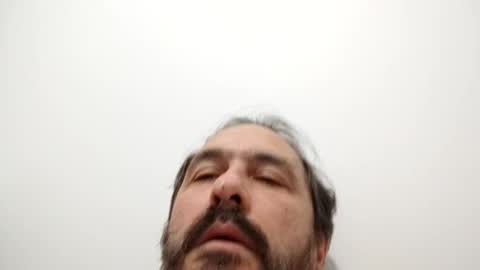 Ludo online show from 8, 1, 2025