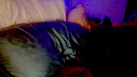 Luna Daddys Girl online show from 25, 11, 2025