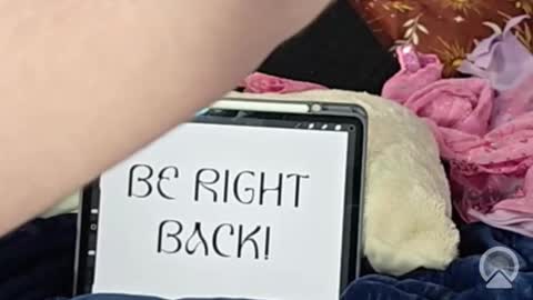 Lunar Fae Stellaris online show from 13, 2, 2026