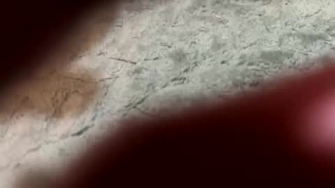 lust_4_daze online show from 13, 2, 2026