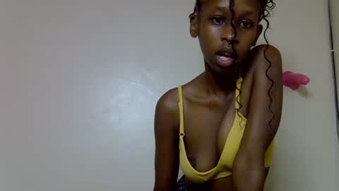 lutino_lovebirds online show from 7, 5, 2026