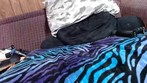 Snapshot of lyke2fuck chatting on 6, 2, 2025 Lyke2fuck online show from 6, 2, 2025