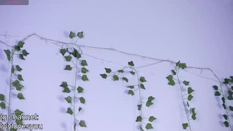 Snapshot of lyly_loveyou chatting on 13, 11, 2025 Lyly online show from 13, 11, 2025