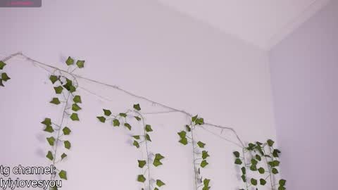 Snapshot of lyly_loveyou chatting on 24, 11, 2025 Lyly online show from 24, 11, 2025