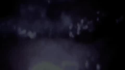 Vanda online show from 5, 4, 2026