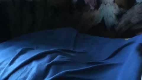 Snapshot of macho9385 chatting on 24, 9, 2025 macho9385 online show from 24, 9, 2025