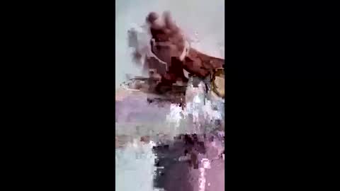 Snapshot of maciasbraulio846 chatting on 7, 2, 2026 maciasbraulio846 online show from 7, 2, 2026