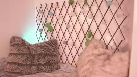 Noah Askew online show from 28, 11, 2025