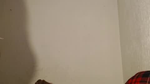 Made online show from 26, 12, 2024