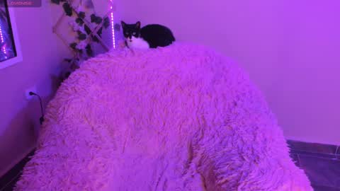 Madeline  online show from 29, 9, 2025