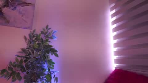 Snapshot of madison_mayer chatting on 8, 7, 2026 Madison online show from 8, 7, 2026