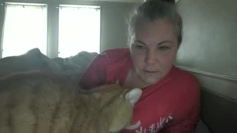 Madison online show from 4, 12, 2025