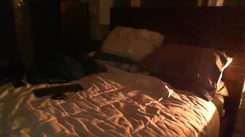 Guigui online show from 26, 2, 2025