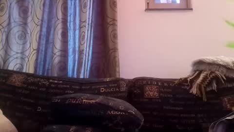 majorxoxo online show from 26, 11, 2025