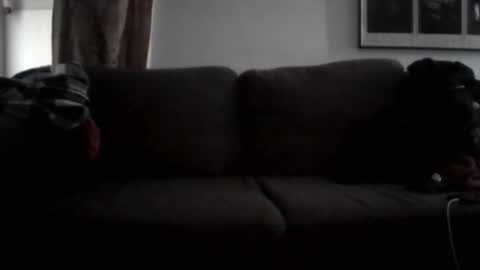 majorxoxo online show from 2, 6, 2026