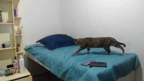 Snapshot of makennaa_1 chatting on 12, 3, 2025 MAKENNAA online show from 12, 3, 2025