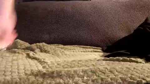 mako998843 online show from 6, 1, 2026